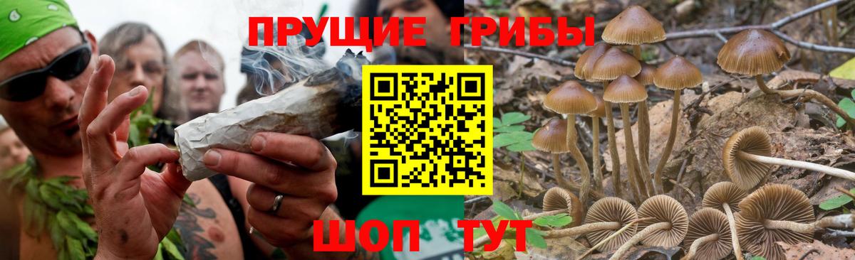Галлюциногенные грибы Psilocybe  Галлюциногенные грибы MAGIC MUSHROOMS  Кыштым  Вход с VPN 