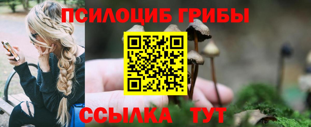 Псилоцибиновые грибы MAGIC MUSHROOMS Кыштым